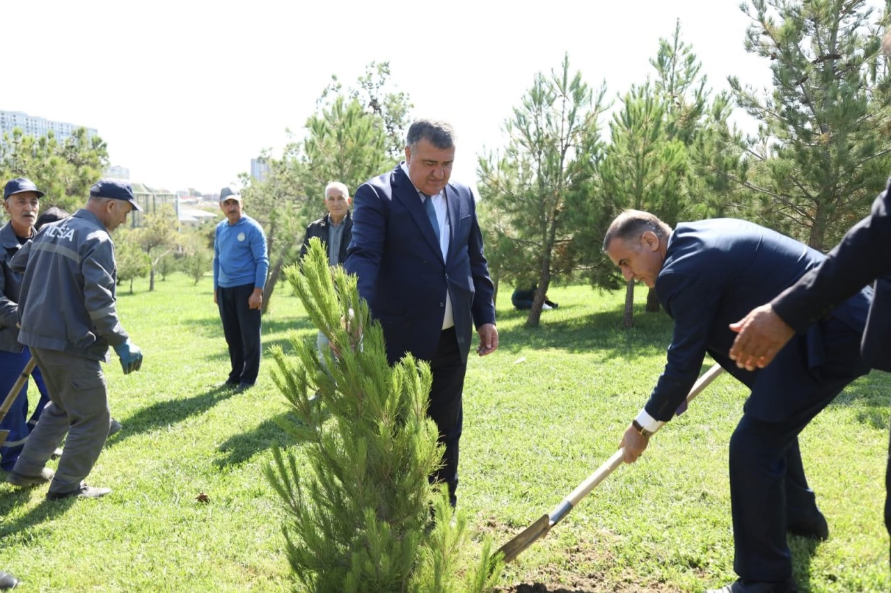 Xətai rayonunda Anım Günü ilə əlaqədar silsilə tədbirlər keçirilib - FOTOLAR